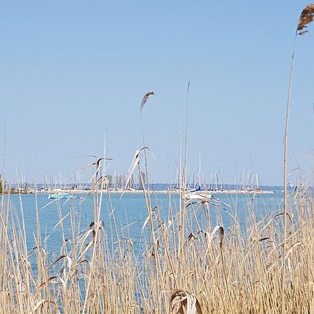 Coastline Balaton Apartment Alsóörs Zewnętrze zdjęcie