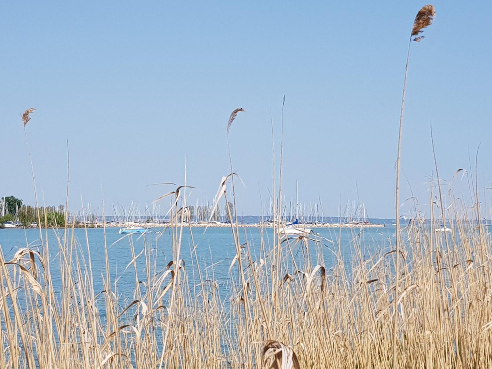 Coastline Balaton Apartment Alsóörs Zewnętrze zdjęcie